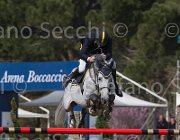 Arioldi R Utile TosTour 2013- S5 7167 : Arezzo Equestrian Centre, Arioldi Roberto, Toscana Tour 2013, Utile, foto di Stefano Secchi ©